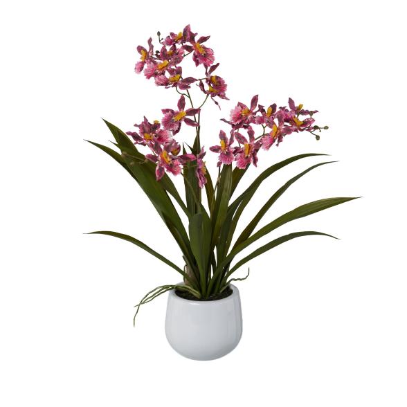 Orchidee dunkelrosa 50cm - 114007400000 - 1 - 588px