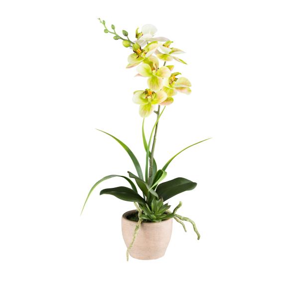 Orchidee grün 45cm - 114007800000 - 1 - 588px