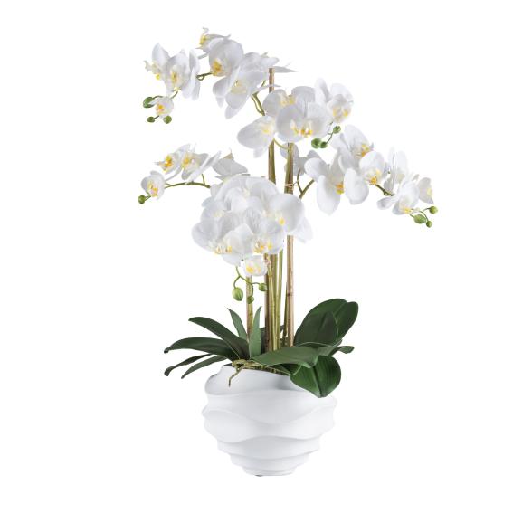 XXL-Orchidee weiß 70cm - 114007900000 - 1 - 588px