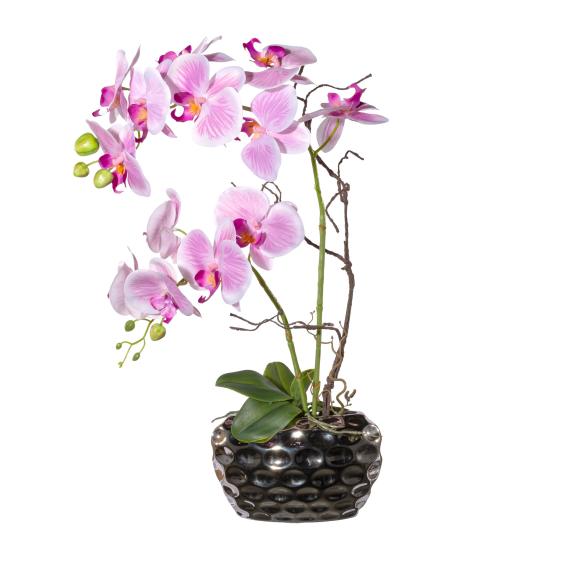 Orchidee Rosa in Ovalvase - 114008200000 - 1 - 588px