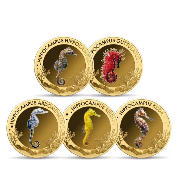 5er Set Goldmünzen "Underwater - Seahorses" - 114013800000 - 1 - 588px