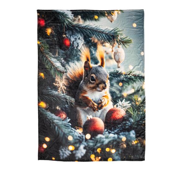 Kuscheldecke Eichhörnchen 150x200cm - 114029200000 - 1 - 588px
