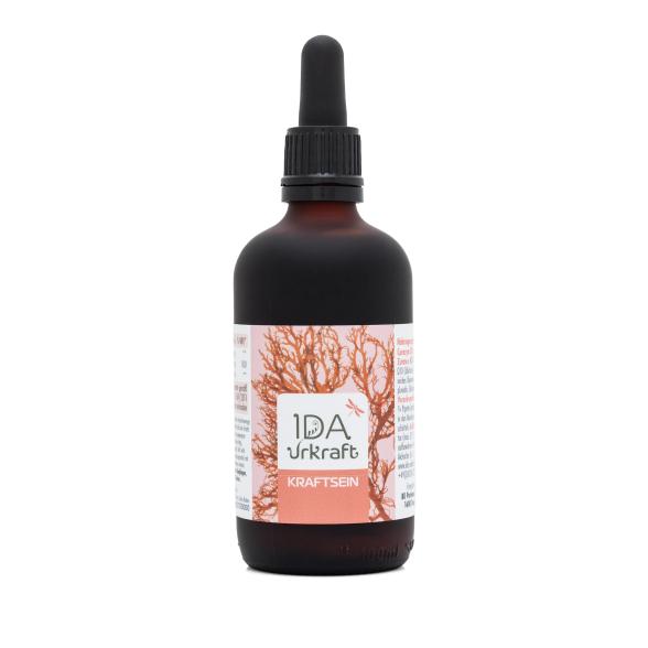 IDA Urkraft Kraft Sein 100 ml - 114063700000 - 1 - 588px