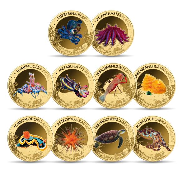 10er Set "Summer Creatures II" - 114247700000 - 1 - 588px