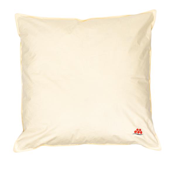 OBB Kissen Schwarzwald Deluxe 80x80cm - 114495200000 - 1 - 588px