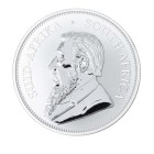 Springbok Big Five Collection - Nashorn 2023 - 109883100000 - 1 - 140px