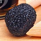 Tartufo Estivo Intero - 112664400000 - 1 - 140px