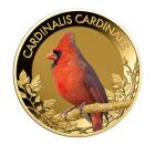 10er Set "The Most Famous Songbirds" - 112890200000 - 1 - 140px