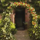 Rosen Pergola 240x140cm - 112986200000 - 1 - 140px