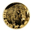 5er Set Goldmünzen "Big 5 of America" - 113362500000 - 1 - 140px