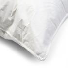 OBB Daunenkissen 80x80 85% Feder 15% Daune - 113384200000 - 1 - 140px