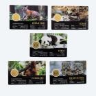 5er Set Coincards "Big Five of Asia" - 113486100000 - 1 - 140px