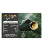 Coincard "Primeval Giants - Brachiosaurus" - 113486500000 - 1 - 140px