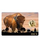 5er Set Coincards "Big Five of America" - 113486800000 - 1 - 140px