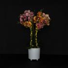 XXL-Orchideen Arrangement 68cm beleuchtet - 113635700000 - 1 - 140px