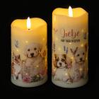 2 LED Funkelkerzen Haustiere - 113681300000 - 1 - 140px