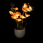 Orchidee mit LED-Beleuchtung rosa - 113701300000 - 1 - 140px
