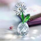 Crystal Dreams Margeriten-Set - 113749000000 - 1 - 140px