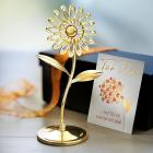 2er Set Geschenkset Blume - 113889800000 - 1 - 140px