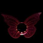 2 Solar-Schmetterlingsleuchten 3in1-Funktion - 113971700000 - 1 - 140px