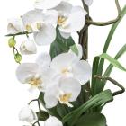 Luxus-Orchidee in Silbervase 68cm - 114006200000 - 1 - 140px