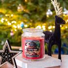 CB Duftkerze Sugar & Spice - 114484800000 - 1 - 140px