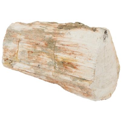 Fossiles Holz teilpoliert 6 kg