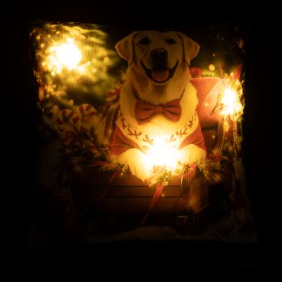 LED Kissen Weihnachtshund 40x40cm