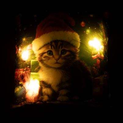 LED Kissen Weihnachtskätzchen 40x40cm