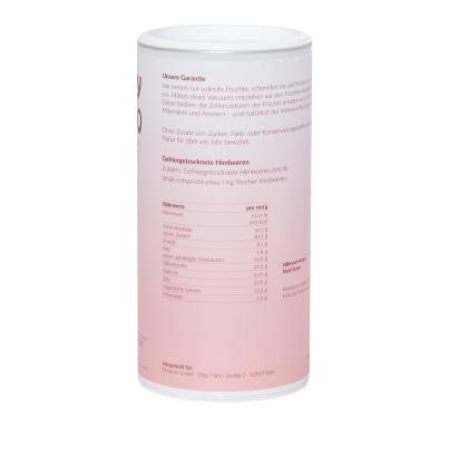 Ready2Yo Früchtetraum Himbeere 96g