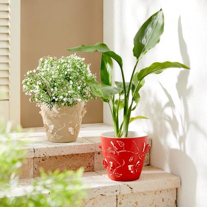 Blumentopf-Set Schmetterling rot und beige