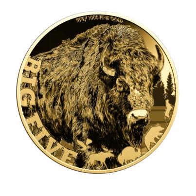 5er Set Goldmünzen "Big 5 of America"