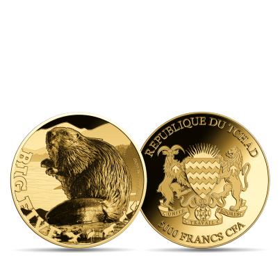 5er Set Goldmünzen "Big 5 of Europe"