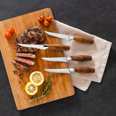 Steakmesser-Set Trend 4 Stück