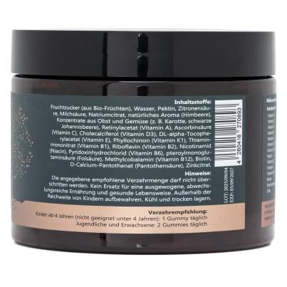 AYUDA VITAL Multivitamin Gummies - Pure Vitamins