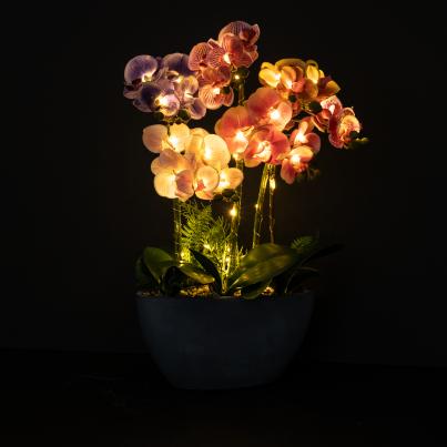 Orchidee beleuchtet im Topf Real Touch
