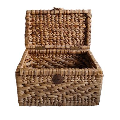 Darimana Truhe Seegras