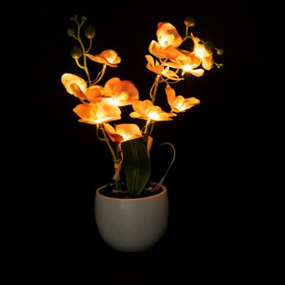 Orchidee mit LED-Beleuchtung rosa