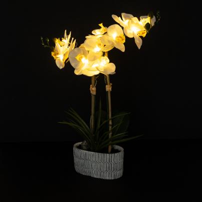 Orchidee mit LED-Beleuchtung weiß