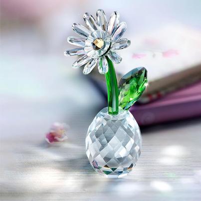 Crystal Dreams Margeriten-Set