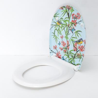 WC-Sitz "Natura" mit Absenkautomatik