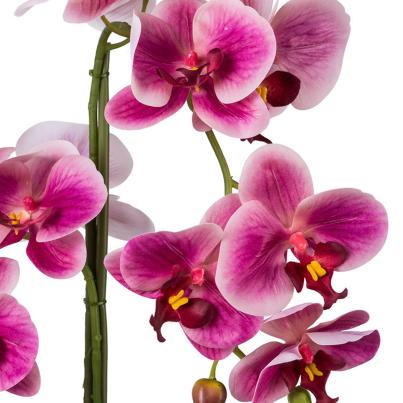 Orchidee fuchsia Real Touch