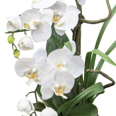 Luxus-Orchidee in Silbervase 68cm