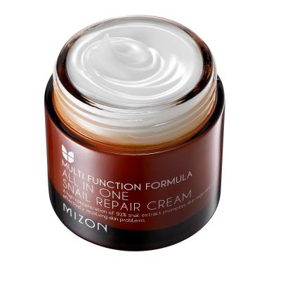 MIZON, ALL IN ONE SNAIL REPAIR CREAM 75 G