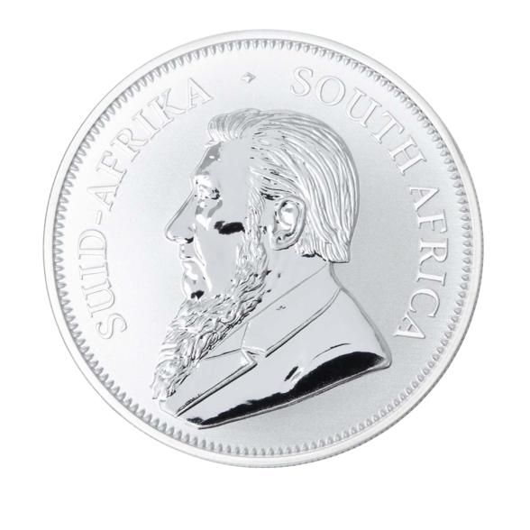 Springbok Big Five Collection - Nashorn 2023 - 109883100000 - 2 - 588px