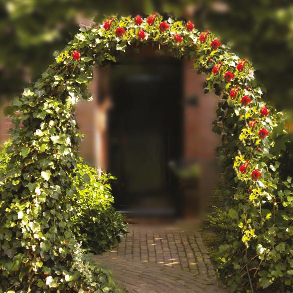 Rosen Pergola 240x140cm - 112986200000 - 2 - 588px