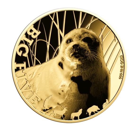 5er Set Goldmünzen "Big 5 of Germany" - 113134700000 - 2 - 588px