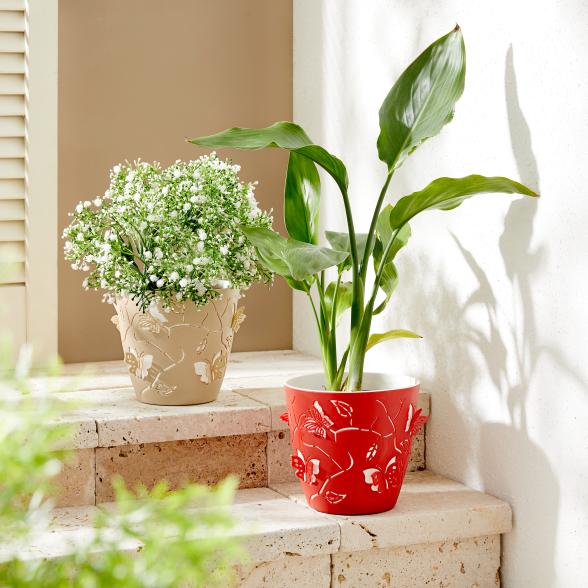 Blumentopf-Set Schmetterling rot und beige - 113186300000 - 2 - 588px