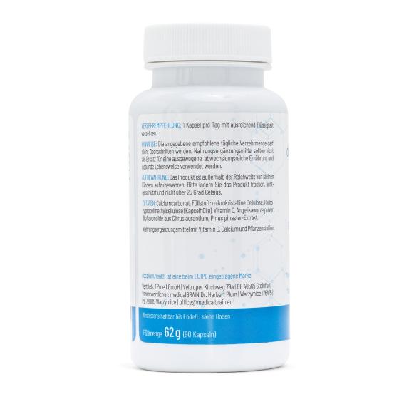 docplum.health Blutgefäße - 113341000000 - 2 - 588px