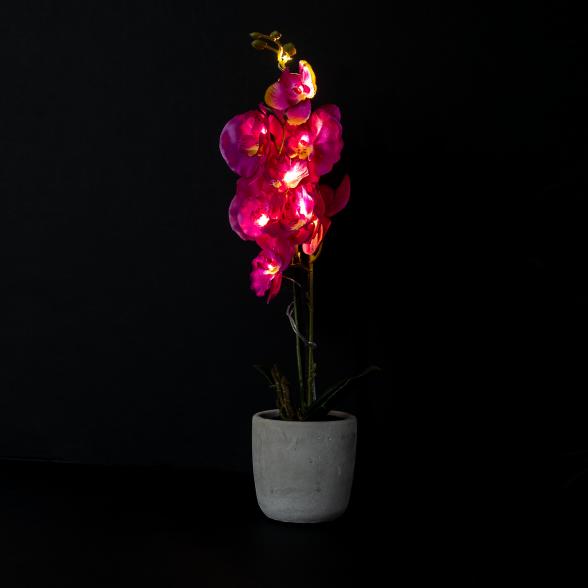 LED-Orchidee lila 47cm - 113482900000 - 2 - 588px